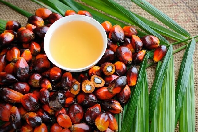 olej palmowy w mleku modyfikowanym czy szkodliwy