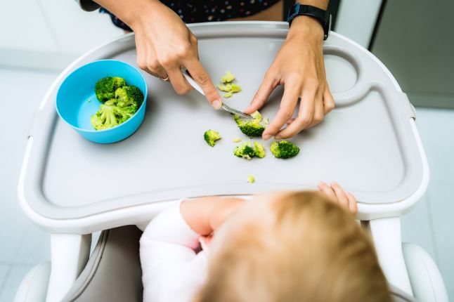 Zasady żywienia zdrowych niemowląt schemat