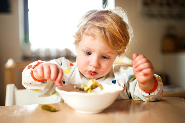 Żywienie dzieci w wieku 1-3
